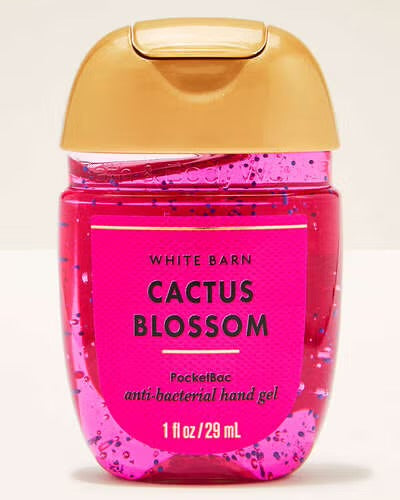 Bath & Body Works Anti-bacterial Hand Gel