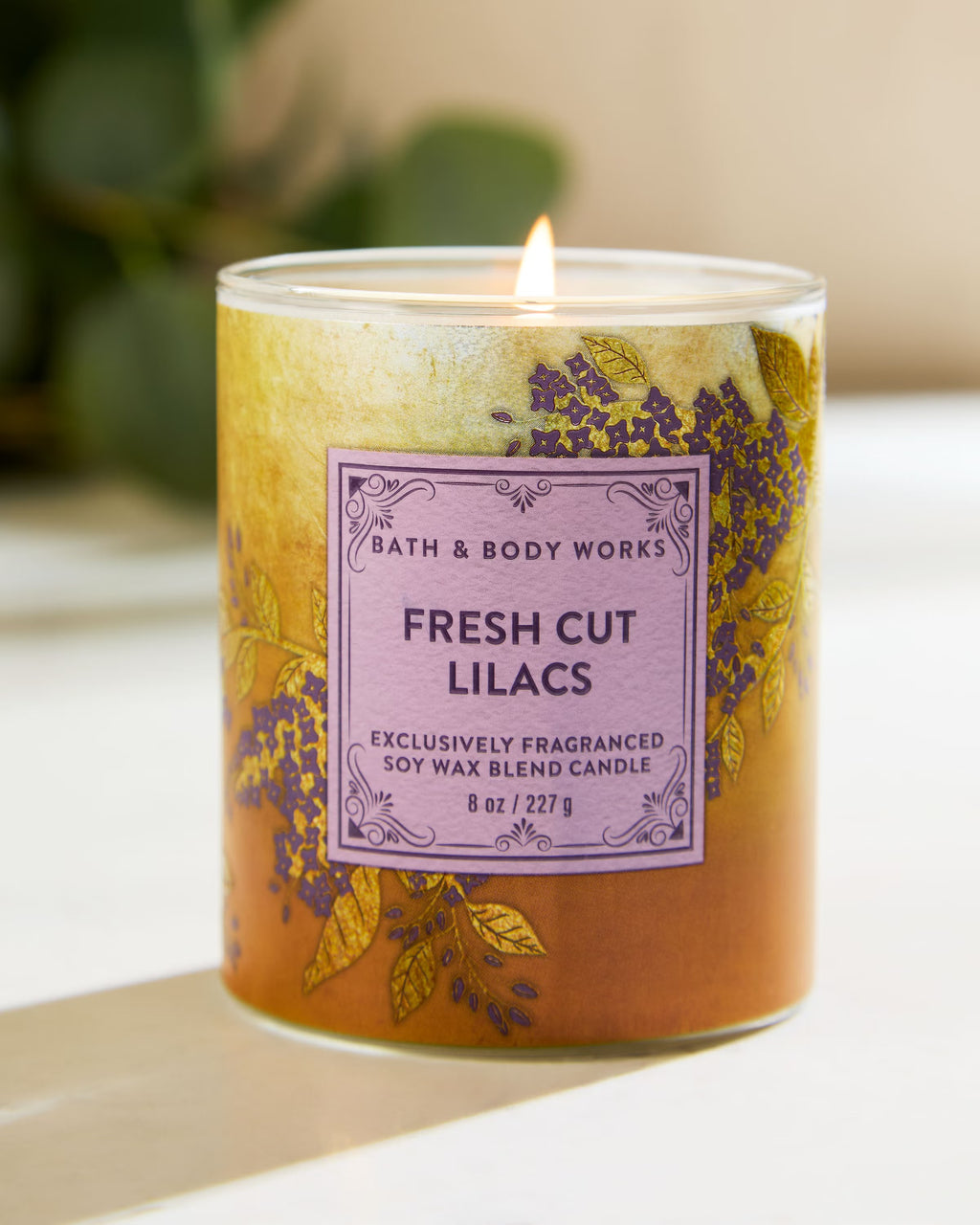 Bath & Body Works Single Wick Candles